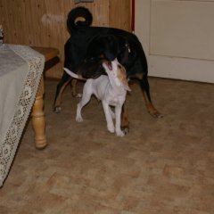 DSC02699 
