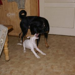 DSC02700 
